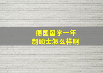 德国留学一年制硕士怎么样啊