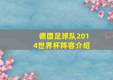 德国足球队2014世界杯阵容介绍