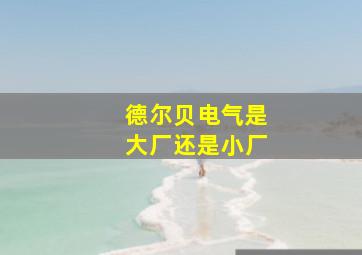 德尔贝电气是大厂还是小厂