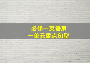 必修一英语第一单元重点句型