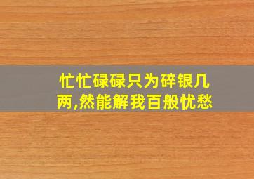 忙忙碌碌只为碎银几两,然能解我百般忧愁