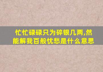 忙忙碌碌只为碎银几两,然能解我百般忧愁是什么意思