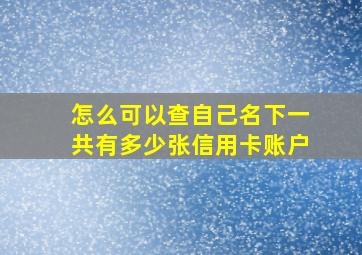 怎么可以查自己名下一共有多少张信用卡账户