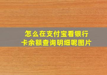 怎么在支付宝看银行卡余额查询明细呢图片