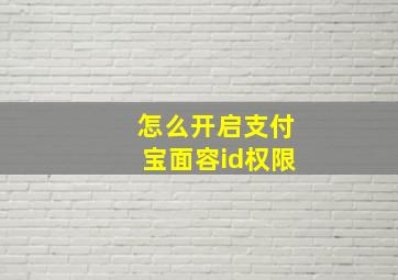 怎么开启支付宝面容id权限