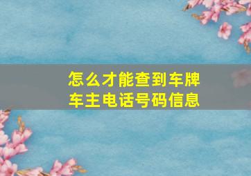 怎么才能查到车牌车主电话号码信息