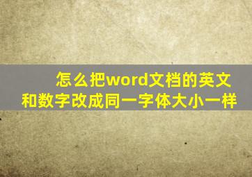 怎么把word文档的英文和数字改成同一字体大小一样