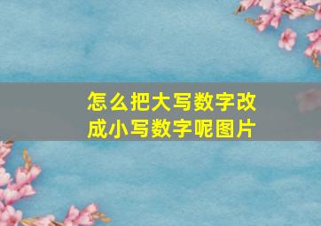 怎么把大写数字改成小写数字呢图片