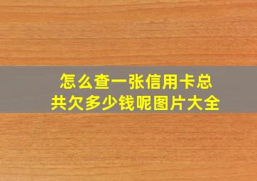 怎么查一张信用卡总共欠多少钱呢图片大全