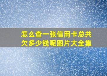 怎么查一张信用卡总共欠多少钱呢图片大全集