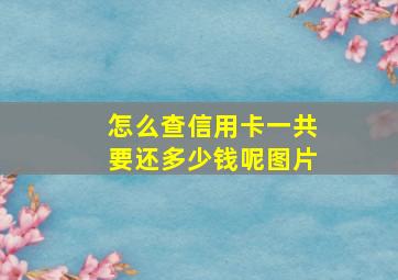 怎么查信用卡一共要还多少钱呢图片