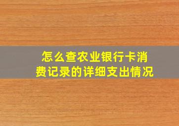 怎么查农业银行卡消费记录的详细支出情况