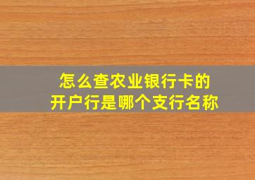 怎么查农业银行卡的开户行是哪个支行名称