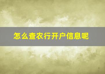 怎么查农行开户信息呢