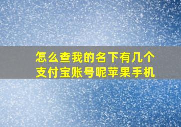 怎么查我的名下有几个支付宝账号呢苹果手机