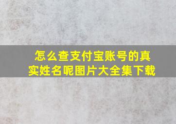 怎么查支付宝账号的真实姓名呢图片大全集下载