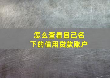 怎么查看自己名下的信用贷款账户