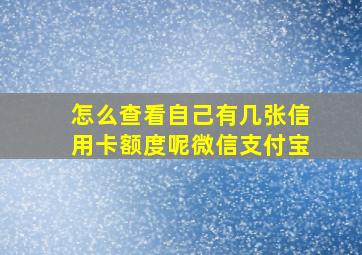 怎么查看自己有几张信用卡额度呢微信支付宝