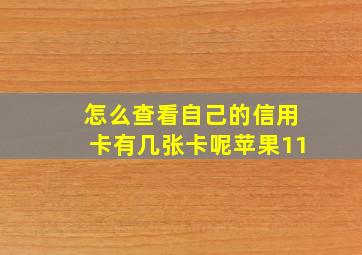 怎么查看自己的信用卡有几张卡呢苹果11