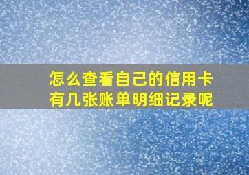 怎么查看自己的信用卡有几张账单明细记录呢