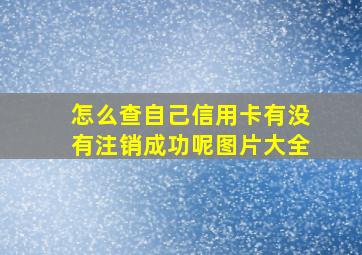 怎么查自己信用卡有没有注销成功呢图片大全