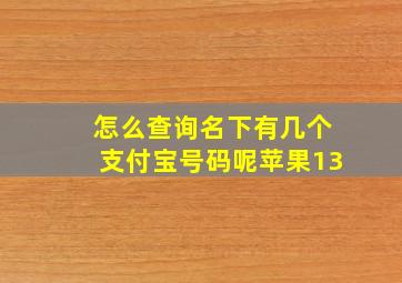 怎么查询名下有几个支付宝号码呢苹果13