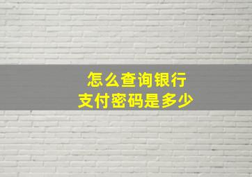 怎么查询银行支付密码是多少