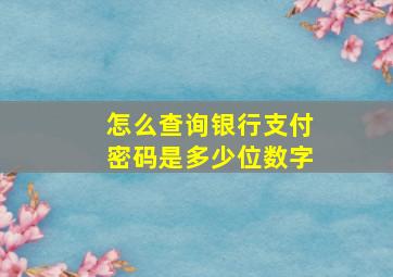 怎么查询银行支付密码是多少位数字