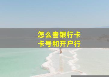 怎么查银行卡卡号和开户行