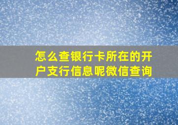 怎么查银行卡所在的开户支行信息呢微信查询