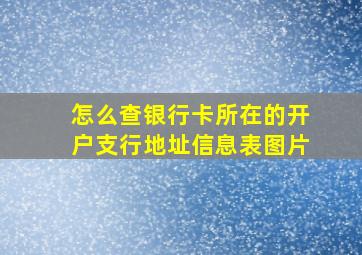 怎么查银行卡所在的开户支行地址信息表图片