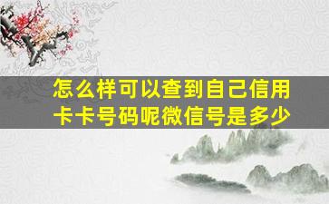 怎么样可以查到自己信用卡卡号码呢微信号是多少