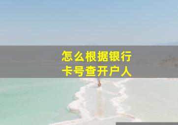 怎么根据银行卡号查开户人