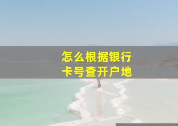 怎么根据银行卡号查开户地