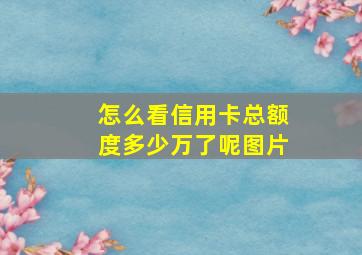 怎么看信用卡总额度多少万了呢图片