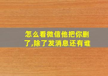 怎么看微信他把你删了,除了发消息还有谁