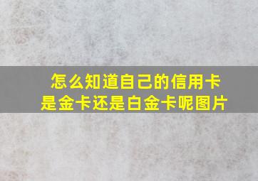 怎么知道自己的信用卡是金卡还是白金卡呢图片