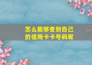 怎么能够查到自己的信用卡卡号码呢