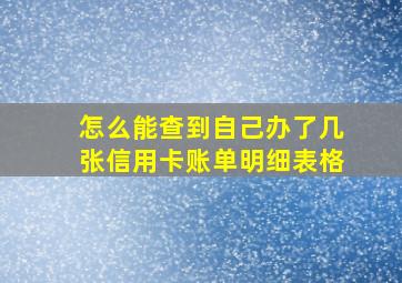 怎么能查到自己办了几张信用卡账单明细表格