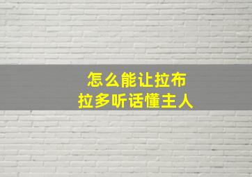 怎么能让拉布拉多听话懂主人