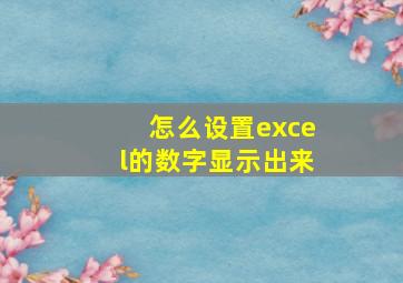 怎么设置excel的数字显示出来