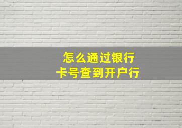 怎么通过银行卡号查到开户行