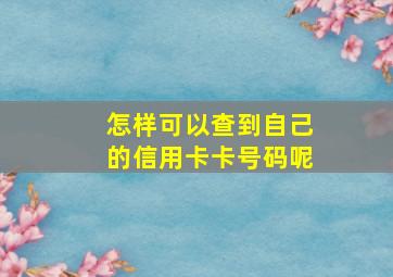 怎样可以查到自己的信用卡卡号码呢