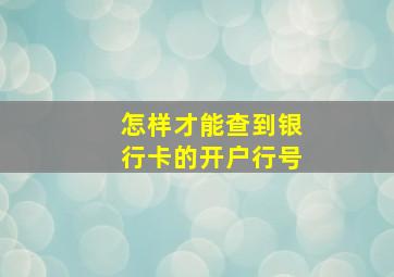 怎样才能查到银行卡的开户行号