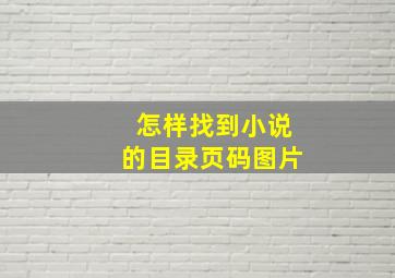 怎样找到小说的目录页码图片