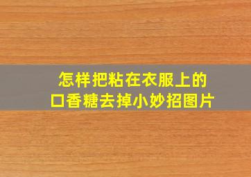 怎样把粘在衣服上的口香糖去掉小妙招图片