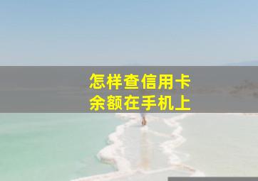 怎样查信用卡余额在手机上