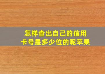 怎样查出自己的信用卡号是多少位的呢苹果