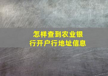 怎样查到农业银行开户行地址信息