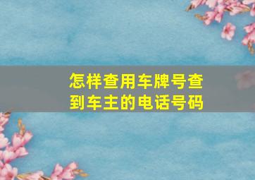 怎样查用车牌号查到车主的电话号码